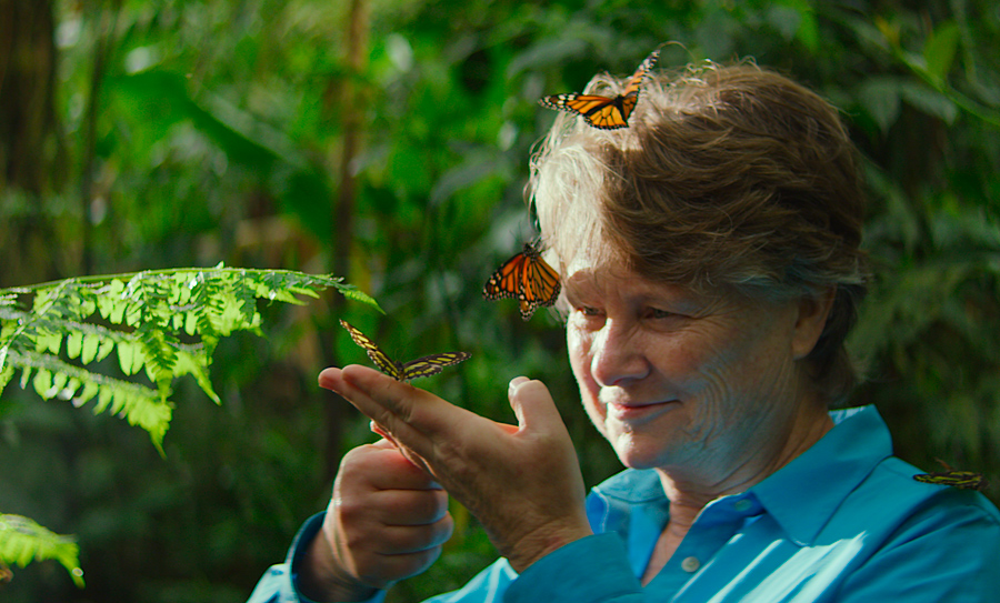 Janine Benyus with butterflies on head